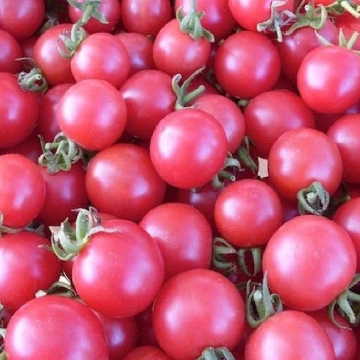 Помидоры розовые