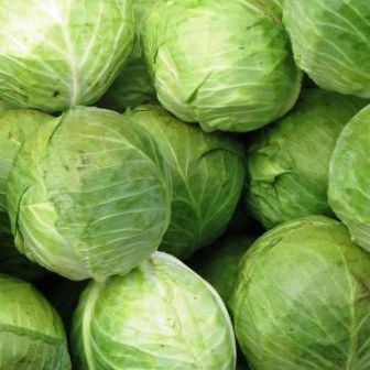 Капуста молодая