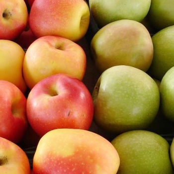 Яблоки