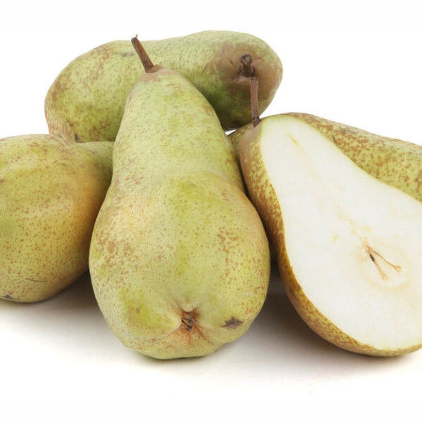 Груша Аббат